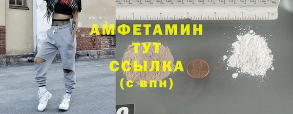 прущие грибы Белокуриха