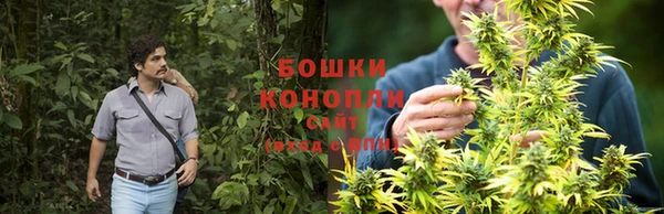 кокаин перу Бородино