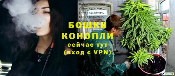 бошки Бронницы