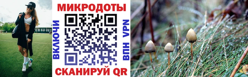 Псилоцибиновые грибы Cubensis как найти наркотики Горячий Ключ
