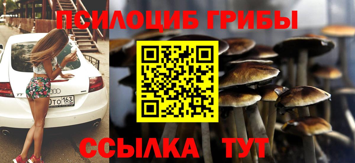 Горячий Ключ  продажа наркотиков  Вход с VPN  Псилоцибиновые грибы прущие грибы 