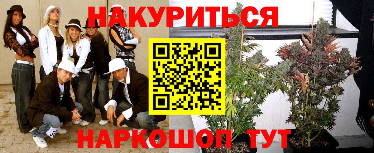 Бошки марихуана сатива Горячий Ключ