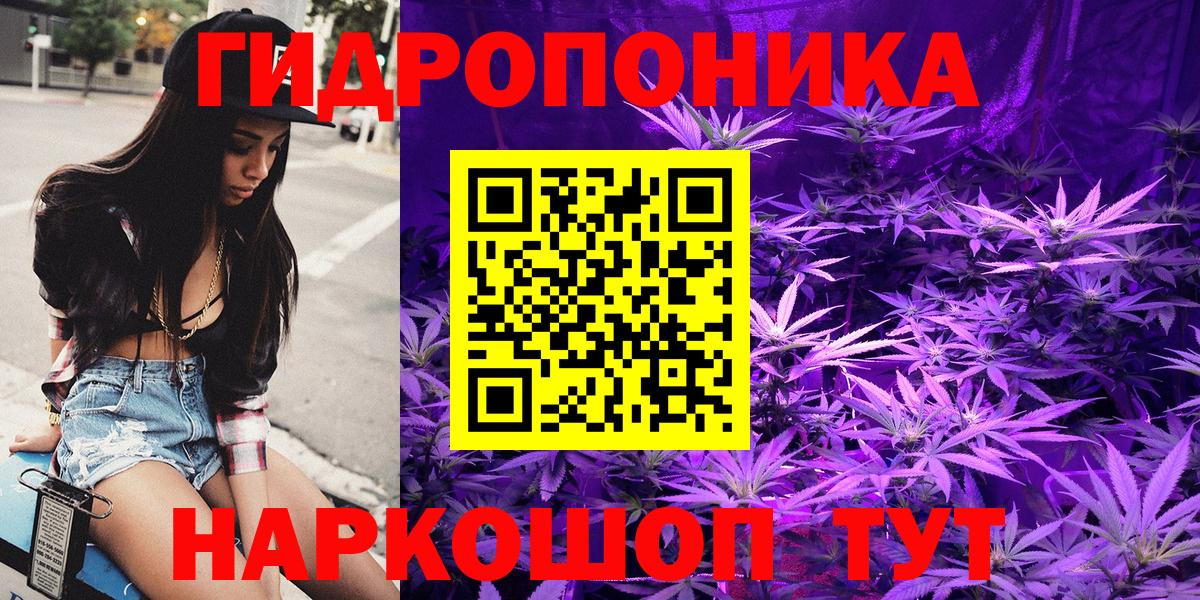 Шишки марихуана Amnesia  МАРИХУАНА MAZAR  МАРИХУАНА план  Вход с VPN  Горячий Ключ 